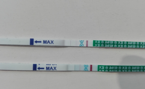 严重的多囊卵巢会怀孕吗